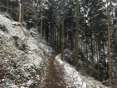 Wanderung 15.02.2018 (Bild: Laura Widmer)