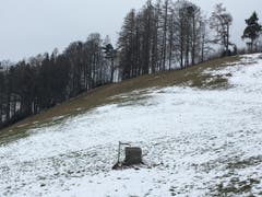 Wanderung 22.02.2018 (Bild: Gianni Amstutz)