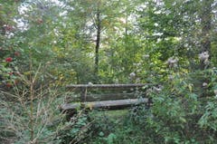 Wanderung 05.10.2017 (Bild: Gianni Amstutz)