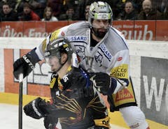 Zugs Andy Woznievski (rechts) gegen Berns Tristan Scherwey. (Bild: Keystone)