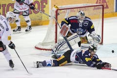 Der Fribourger Verteidiger Yannick Rathgeb (links) im Spiel gegen den Zuger Verteidiger Robin Grossmann (rechts) und den Zuger Goalie Tobias Stephan. (Bild: Keystone / Alexandra Wey)