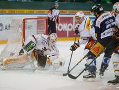 Lugano-Goalie Elvis Merzlikins hält die Scheibe. (Bild: Stefan Kaiser/Neue ZZ)