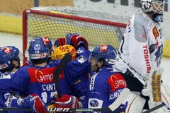 Jubel der Zürcher nach dem 1:0. (Bild: Keystone)