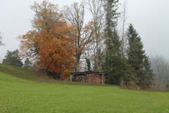 Wanderung 16.11.2017 (Bild: Simon Roth)