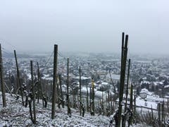 Wanderung 15.02.2018 (Bild: Laura Widmer)
