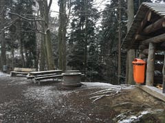 Wanderung 15.02.2018 (Bild: Laura Widmer)