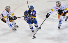 Die Zuger Josh Holden (links) und Daniel Sondell (rechts) nehmen den Davoser Andres Ambühl in die Bresche. (Bild: Keystone)