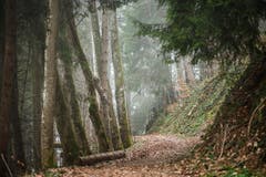 Wanderung 12.04.2018 (Bild: Christian Regg)