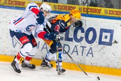 Zürichs Reto Schaeppi, links, im Duell mit Zugs Topscorer David McIntyre. (Bild: Alexandra Wey/Keystone)
