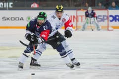Zugs Josh Holden (links) gegen den Ingolstädter Marc Schmidpeter (Bild: Dominik Wunderli / Neue LZ)