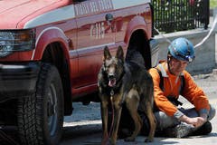 Ein Feuerwehrmann wartet mit seinem Hund im Schatten eines Autos in Cavezzo . . . (Bild: Keystone / AP)