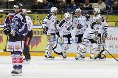 Lugano-Spieler jubeln nach dem 0-1, während Zugs Josh Holden, links, sich die Hose hoch zieht. (Bild: Keystone)