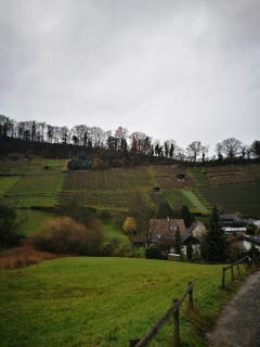 Wanderung 14.12.2017 (Bild: Arcangelo Balsamo)