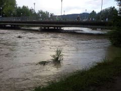 Das Wasser reicht bis knapp unter die Dalmazibrücke, die das Kirchenfeld- mit dem Marziliquartier verbindet. (Bild: Jonas Schärer)