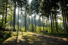 Wanderung 19.10.2017 (Bild: Anina Rütsche)