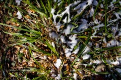 Wanderung 1.3.2018 (Bild: Adrian Lemmenmeier)