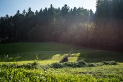Wanderung 19.10.2017 (Bild: Anina Rütsche)
