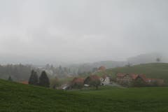 Wanderung 16.11.2017 (Bild: Simon Roth)