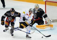 Der Zuger Dominic Lammer (Mitte) spielt sich an Luganos Philippe Furrer (links) vorbei. Luganos Goalie Elvis Merzlikins steht noch vor ihm. (Bild: Keystone/Ti-Press/Samuel Golay)