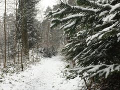 Wanderung 15.02.2018 (Bild: Laura Widmer)