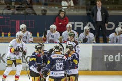 Die Zuger feiern das 1:0. (Bild: Keystone)