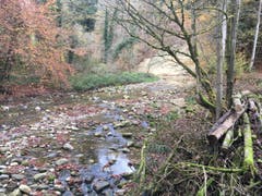 Wanderung 09.11.2017 (Bild: Laura Widmer)