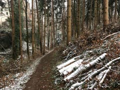 Wanderung 15.02.2018 (Bild: Laura Widmer)