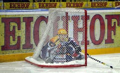 Damien Brunner vom EV Zug. (Bild: Keystone)