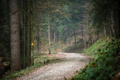 Wanderung 12.04.2018 (Bild: Christian Regg)