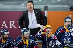 Zug-Trainer Harold Kreis an der Bande. (Bild: Alexandra Wey / Keystone)