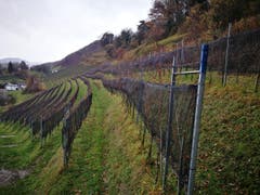 Wanderung 14.12.2017 (Bild: Arcangelo Balsamo)