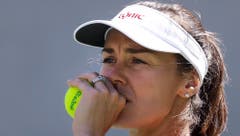 Martina Hingis konzentriert. (Bild: AP Photo/Charles Krupa)
