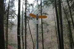 Wanderung 16.11.2017 (Bild: Simon Roth)