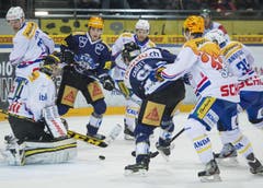 Klotens Tommi Sandala, Goalie Michael Flueckiger, Patrick von Gunten, Peter Mueller und Gian Andrea Randegger, von links, gegen den EVZ mit Reto Suri und Cousin Casutt. (Bild: Keystone)