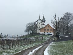 Wanderung 15.02.2018 (Bild: Laura Widmer)