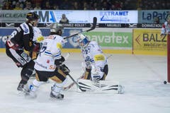 Die Zuger Holden und Kilpeläinen gegen Fribourgs Julien Sprunger. (Bild: Keystone)