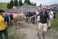 Die Schwingerarena. (Bild: Urs Flüeler, Keystone / Rigi Staffel, 09.07.2017)