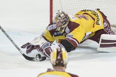 Robert Mayer von Genf Servette krallt sich den Puck. (Bild: Urs Flüeler / Keystone)