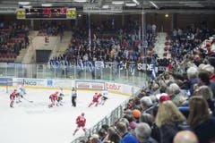 Zuger Supporter in der Eishalle Deutweg in Winterthur. (Bild: Keystone)