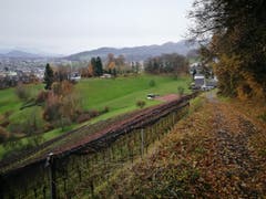 Wanderung 14.12.2017 (Bild: Arcangelo Balsamo)