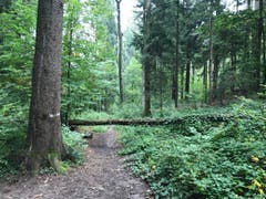 Wanderung 28.09.2017 (Bild: Luca Ghiselli)