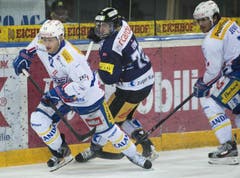 Simon Bodenmann, links, und Marcel Jenni von den Kloten Flyers gegen Samuel Erni vom EVZ beim Eishockey Meisterschaftsspiel der National League A zwischen dem EV Zug und den Kloten Flyers am Dienstag in der Bossard Arena in Zug. (Bild: Keystone)
