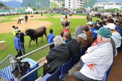 Präsentation der Lebendpreise, angeführt von Muni Benno. (Bild: Robert Hess / Neue OZ)