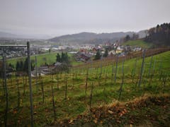 Wanderung 14.12.2017 (Bild: Arcangelo Balsamo)