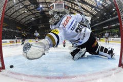 Zug-Torhüter Jussi Markkanen hechtet nach dem Puck. (Bild: Keystone)