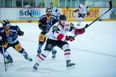 Die Zuger Santeri Alatalo (links) und Fabian Schnyder (hinten) verfolgen den Kölner Sebastian Uvira. (Bild: Corinne Glanzmann)