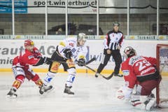 Marc Marchon (mitte) vom EV Zug kämpft gegen die Winterthurer Philipp Loser (links) und Remo Oehninger. (Bild: Keystone)