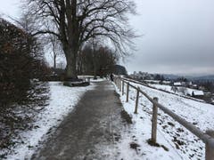 Wanderung 22.02.2018 (Bild: Gianni Amstutz)