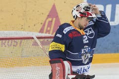 Zug-Torhüter Fabio Haller braucht etwas Abkühlung. (Bild: Keystone)