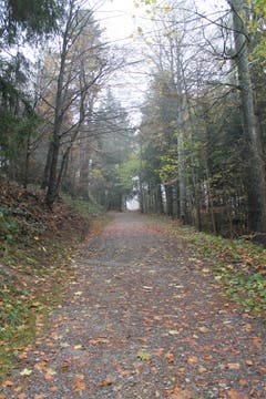 Wanderung 16.11.2017 (Bild: Simon Roth)